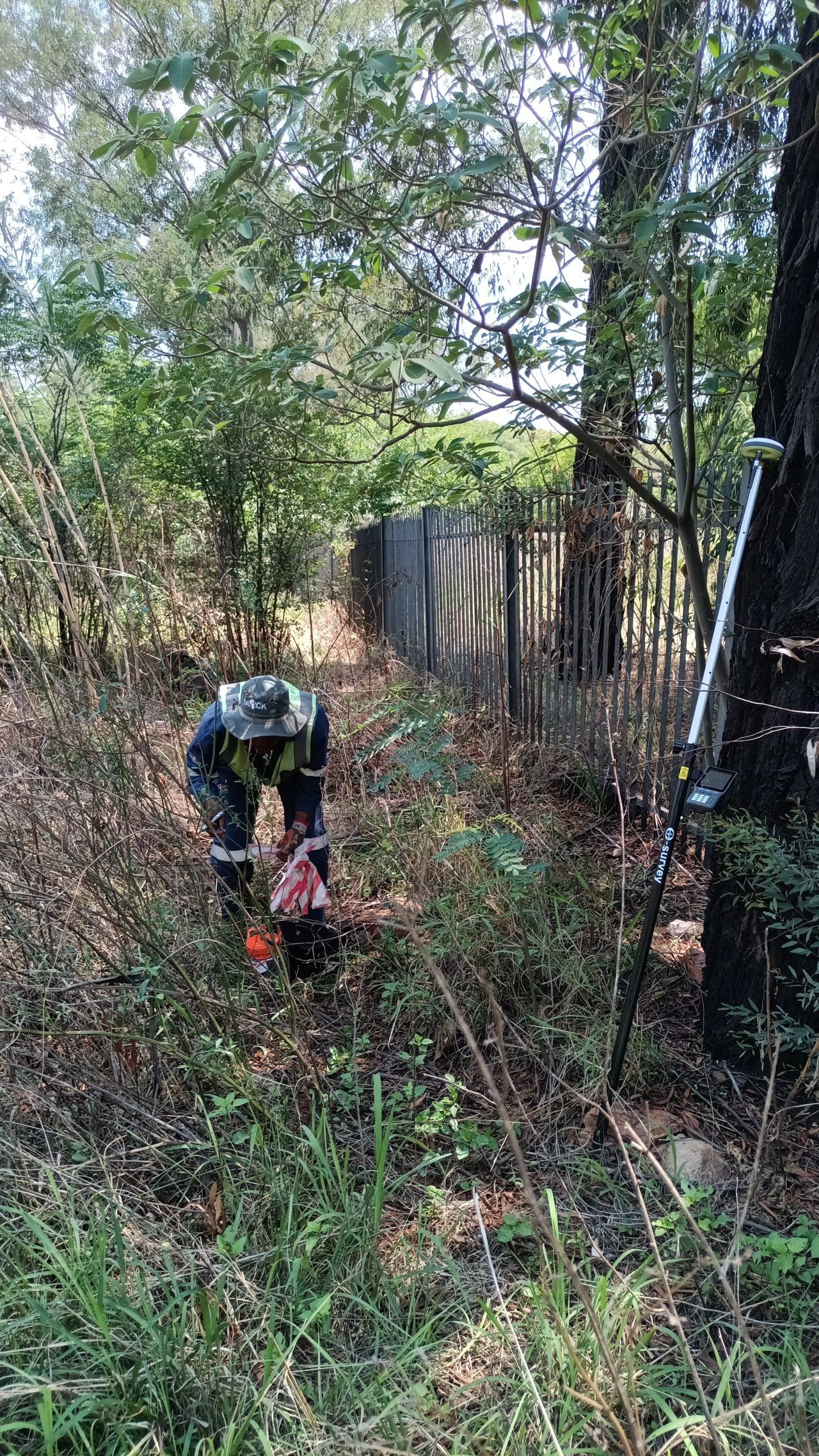 A surveyor finding a beacon next to a palisade fence